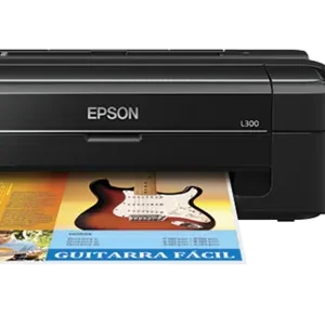 Reset Almohadillas Epson L300 - Cómo Resetear Almohadillas Llenas