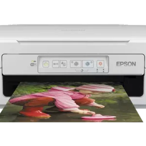 Reset Almohadillas Epson XP247 - Cómo Resetear Almohadillas Llenas