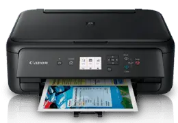Reset almohadilla de impresora canon TS5170
