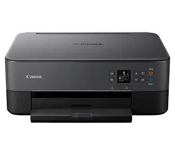 Reset almohadilla de impresora canon TS5370
