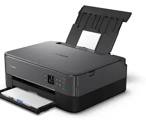 Reset almohadilla de impresora canon TS5391